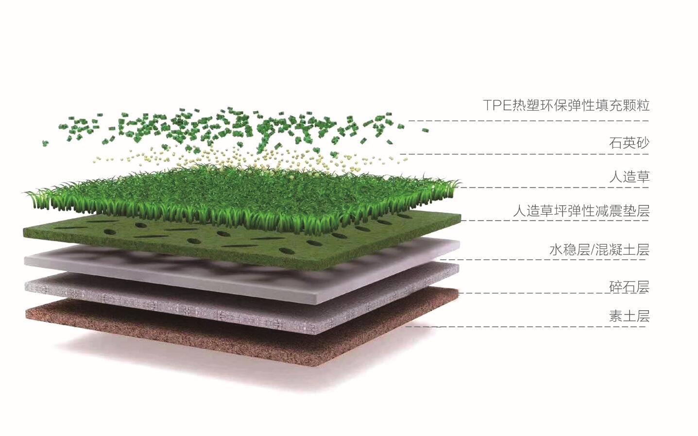 人造草坪结构剖析图