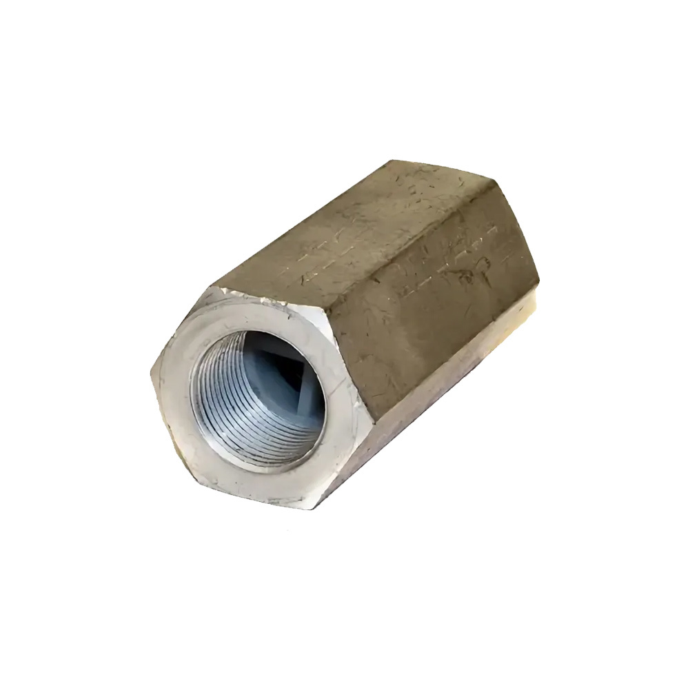 314001001 Non return Valve