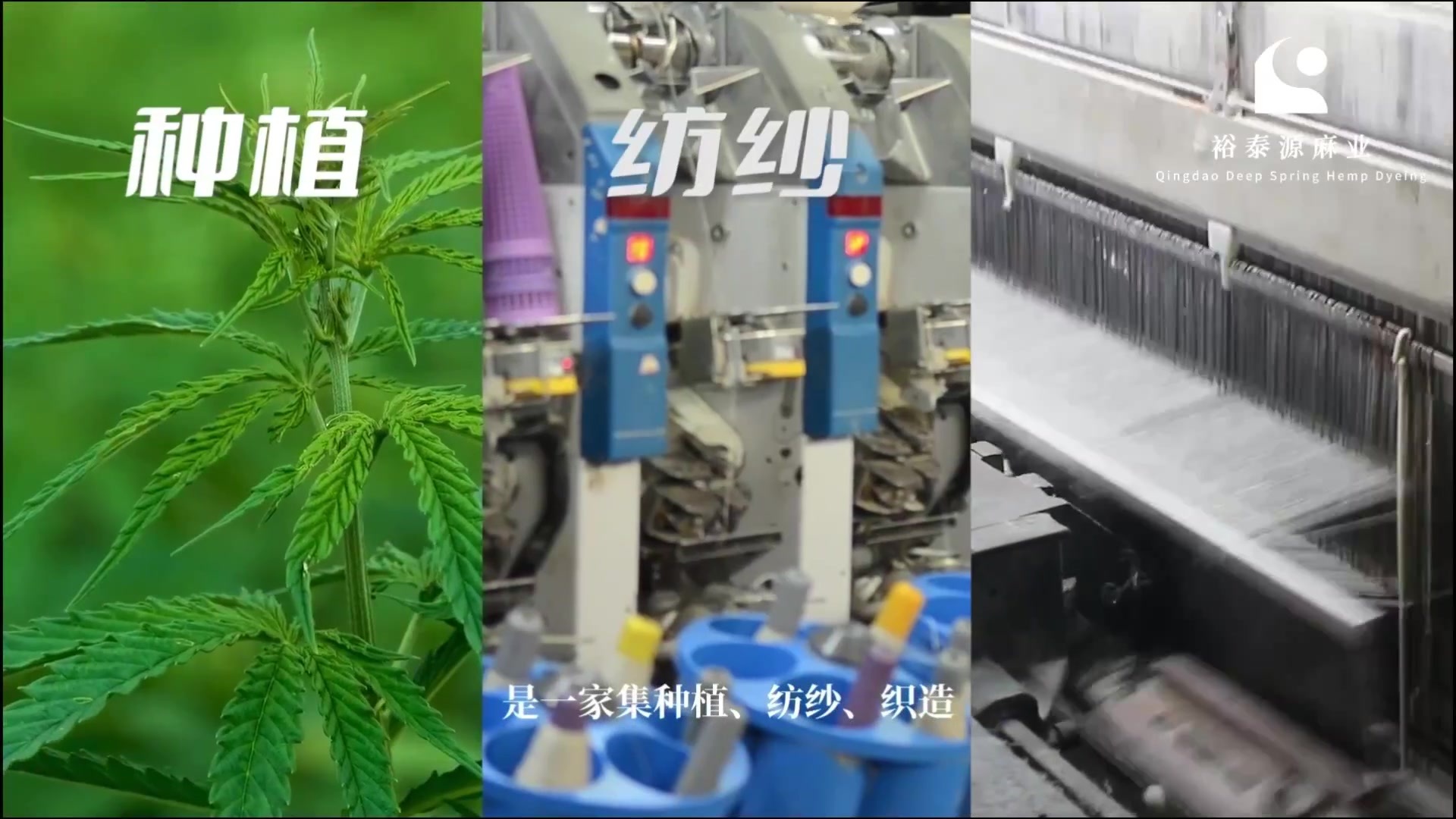 Qingdao Deep Spring Hemp Dyeing