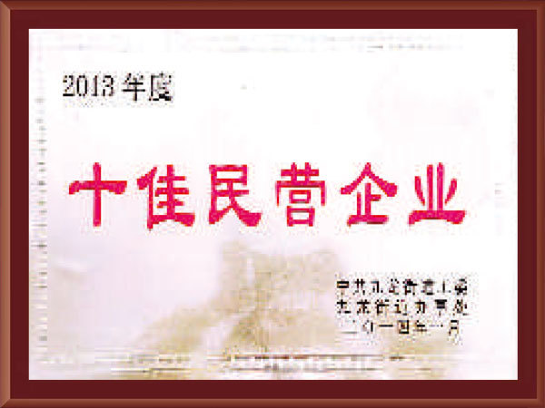 十佳民营企业