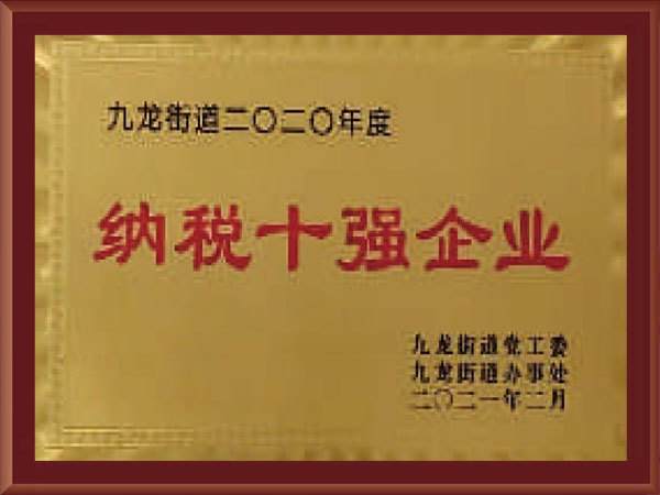 纳税十强企业