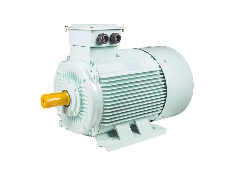 YE2 series low voltage motors (H80-H355)