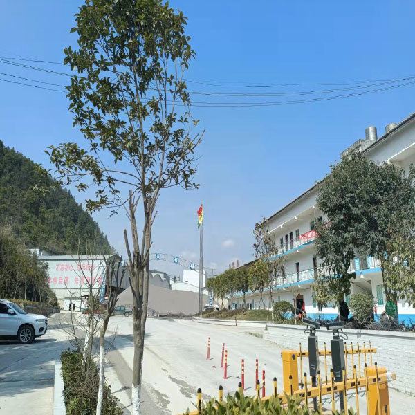 重慶嘉洲建材有限責任公司