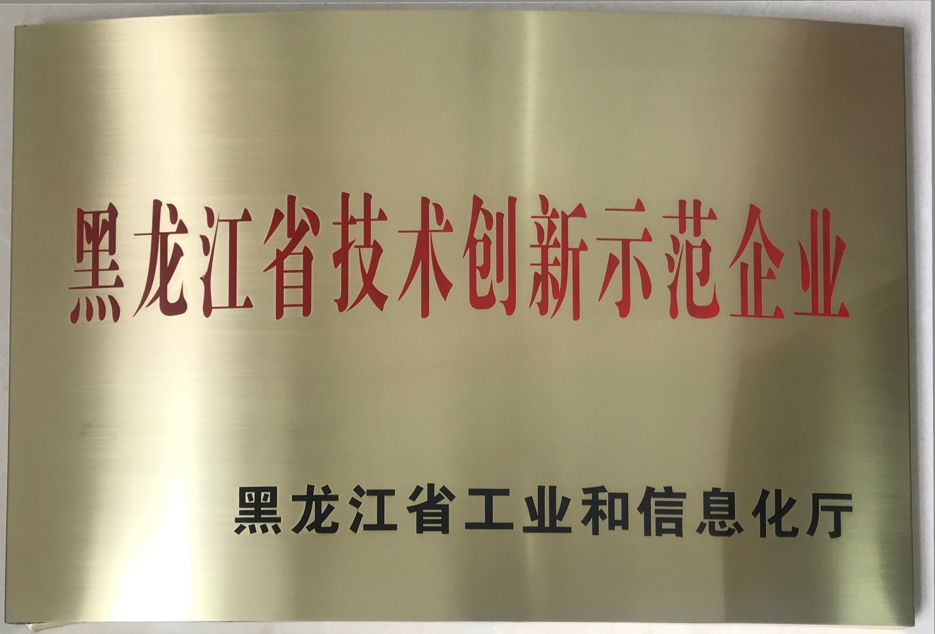 黑龙江省技术创新示范企业