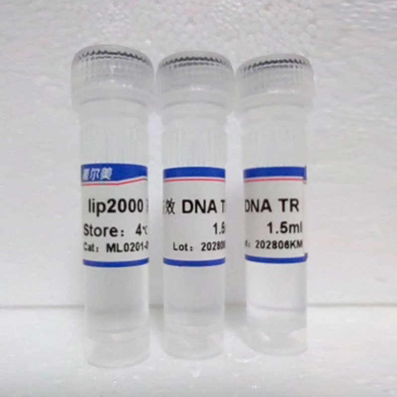 lip2000高效DNA TR