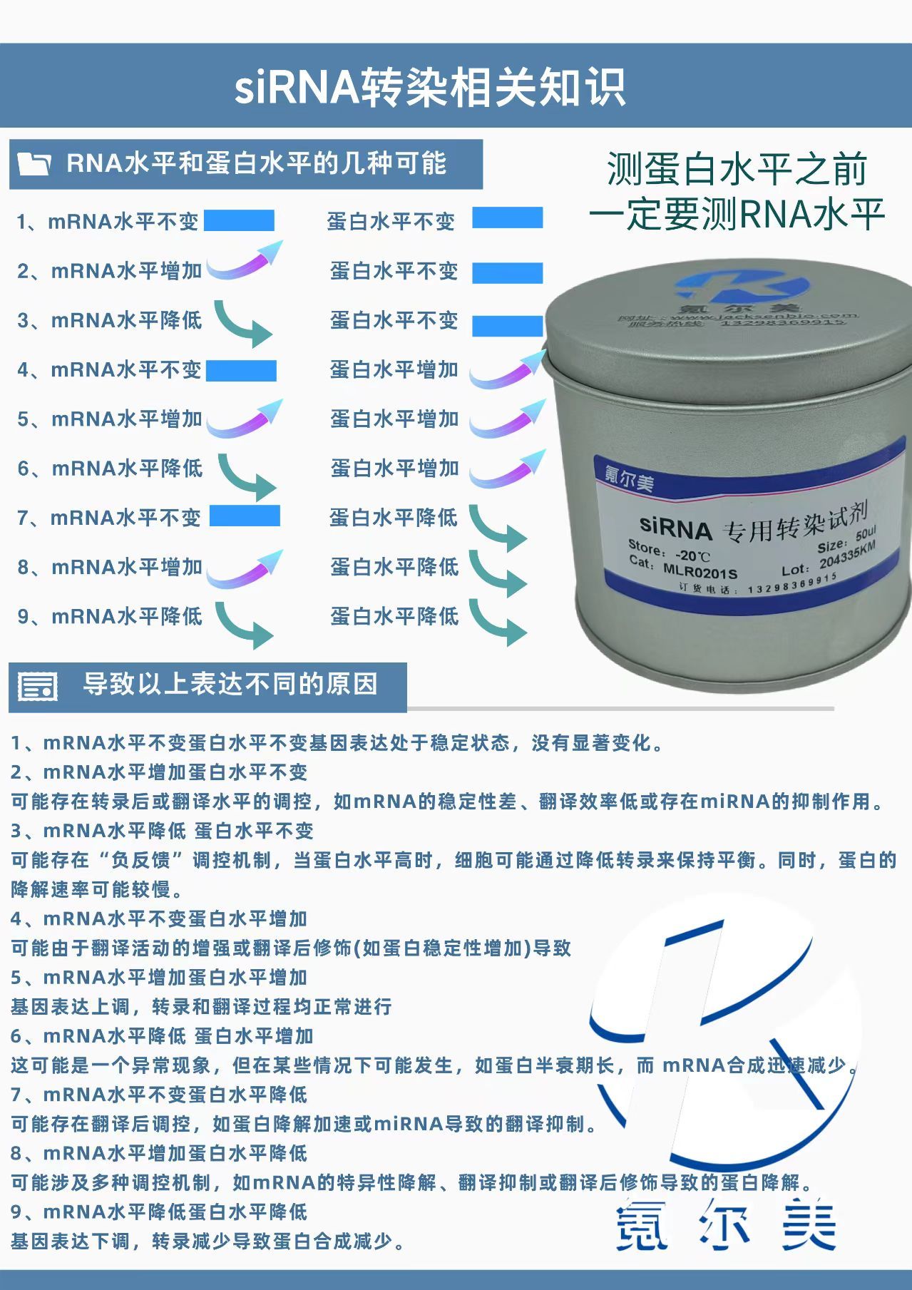 SiRNA轉(zhuǎn)染