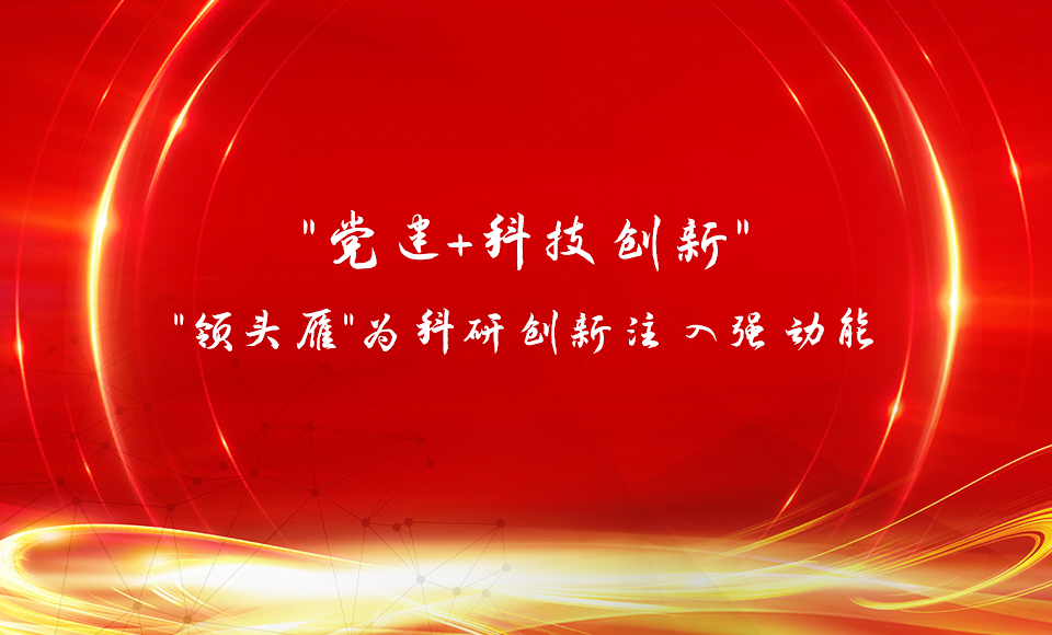 (一)“黨建+科技創(chuàng)新”，“領(lǐng)頭雁”為科研創(chuàng)新注入強動能