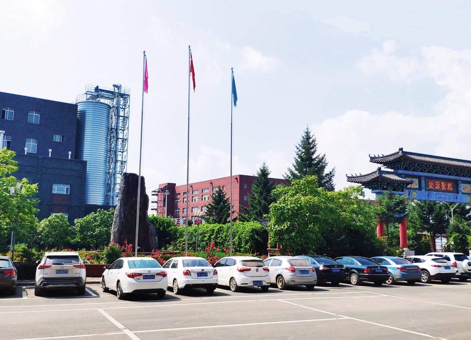 国产麻豆