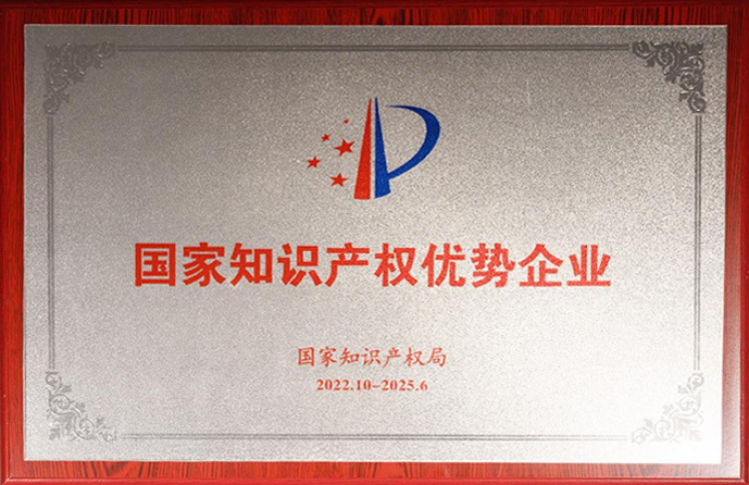 National Intellectual Property Advantage Enterprise
