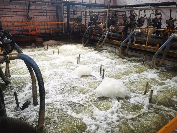 Wastewater treatment in a breeding enterprise in Henan