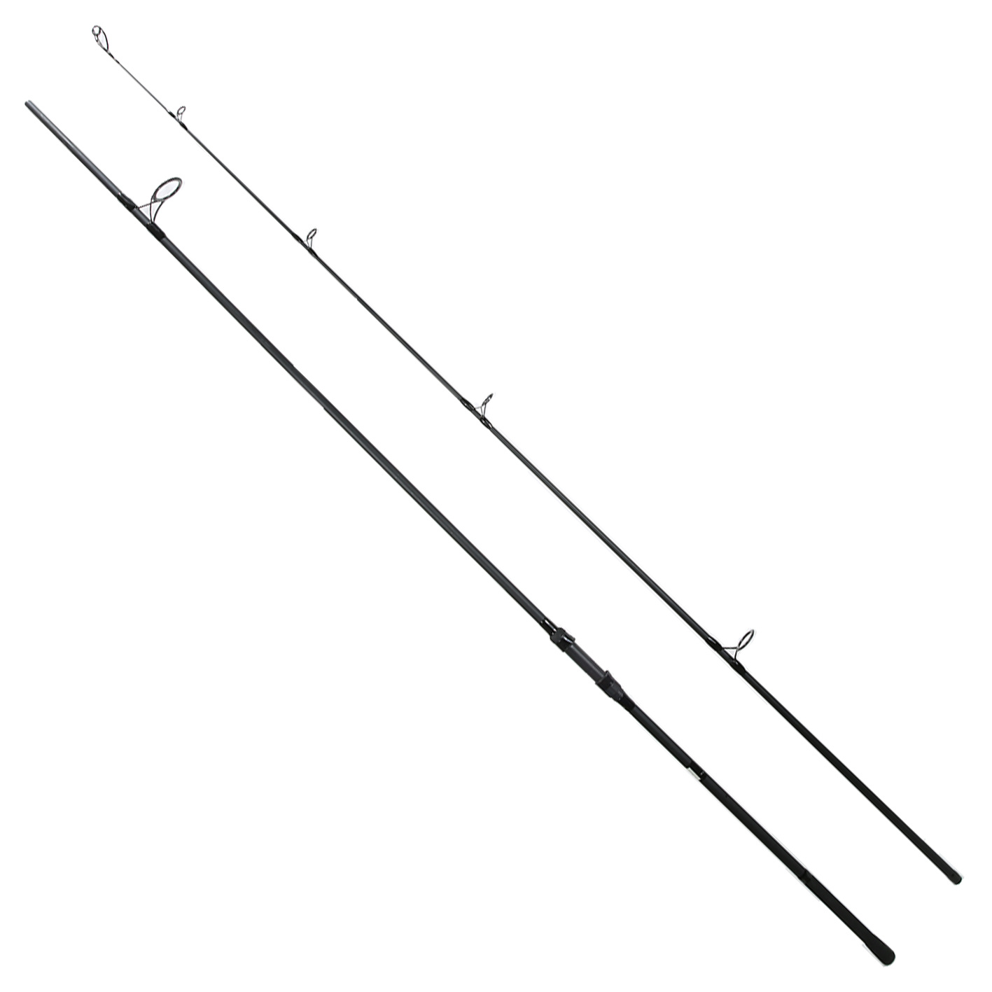 Carp-01