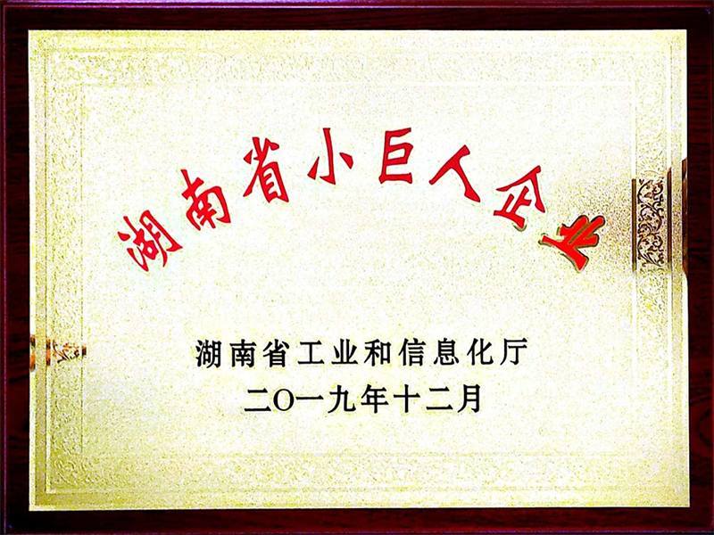 湖南省小巨人企業(yè)證書(shū)