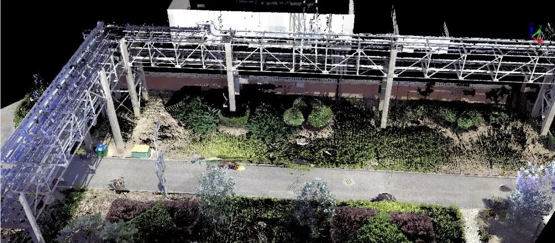 香港黄大仙49559论坛