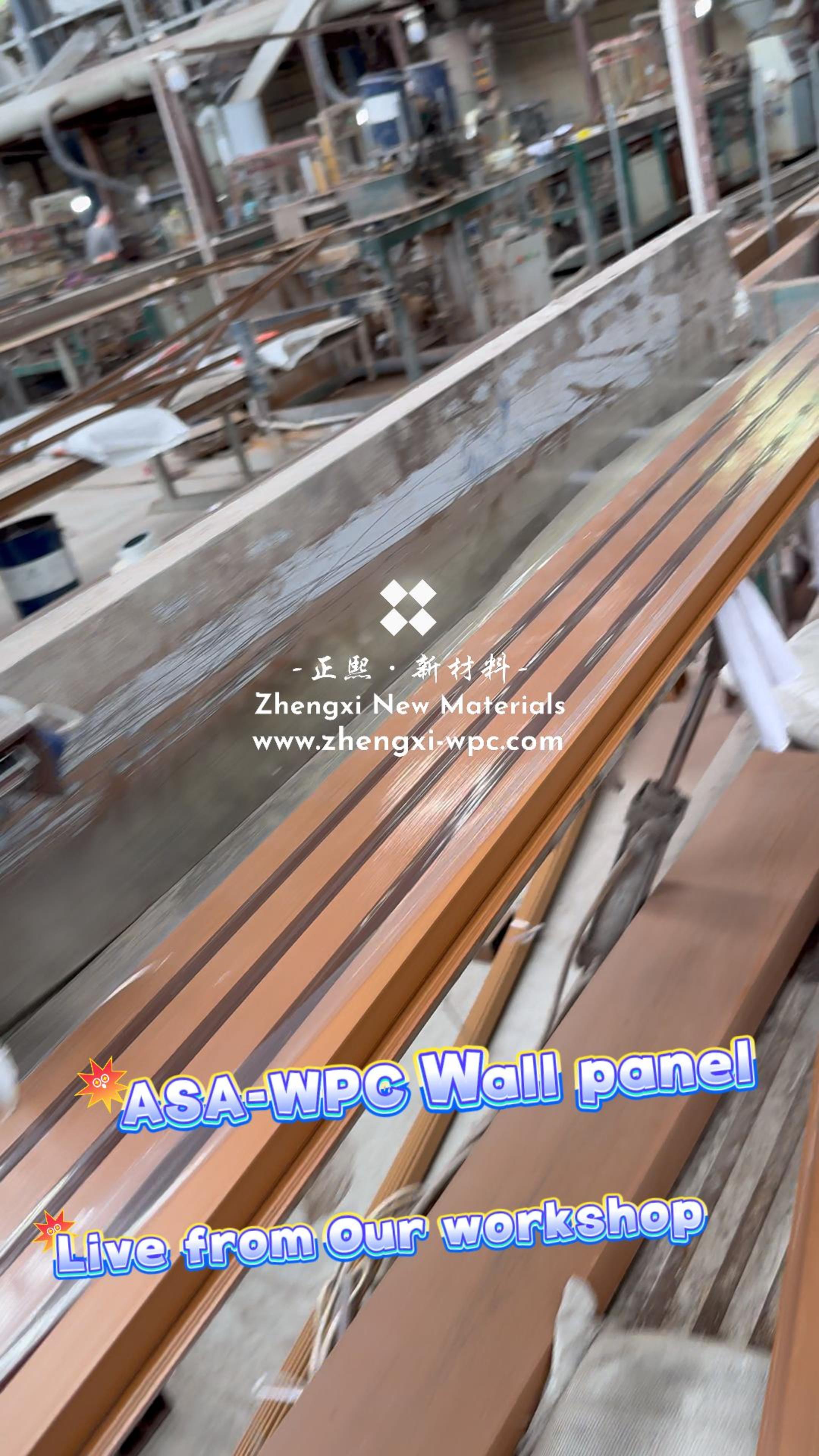 🏆 Premium ASA-WPC Wall Panels