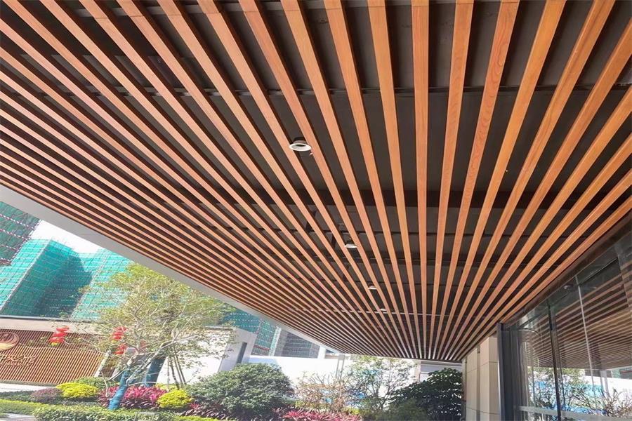 Indoor Ceiling