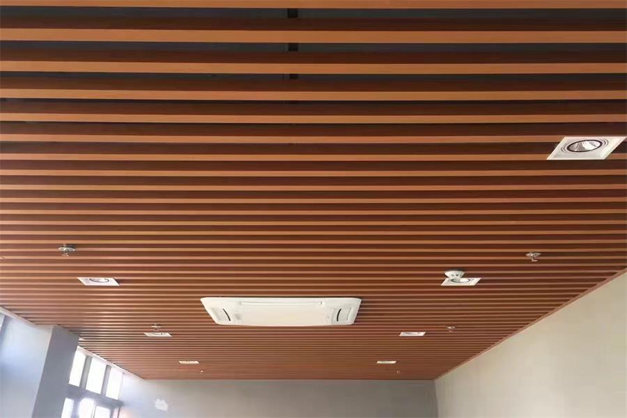 Indoor Ceiling