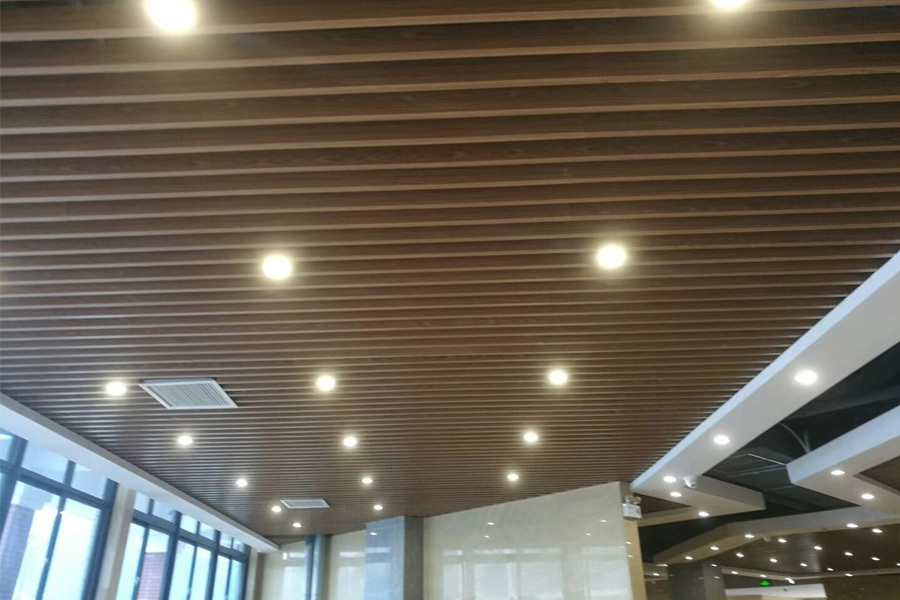 Indoor Ceiling