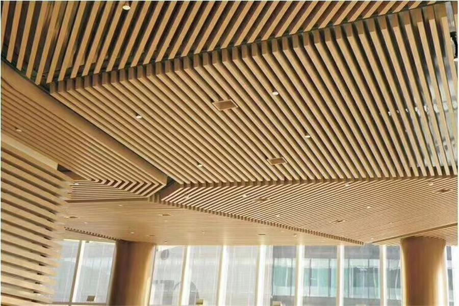 Indoor Ceiling