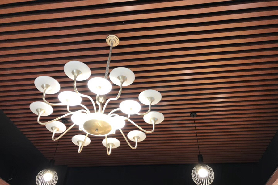 Indoor Ceiling