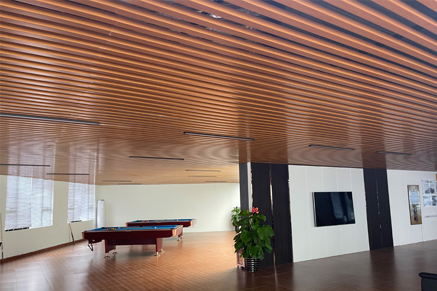Indoor Ceiling