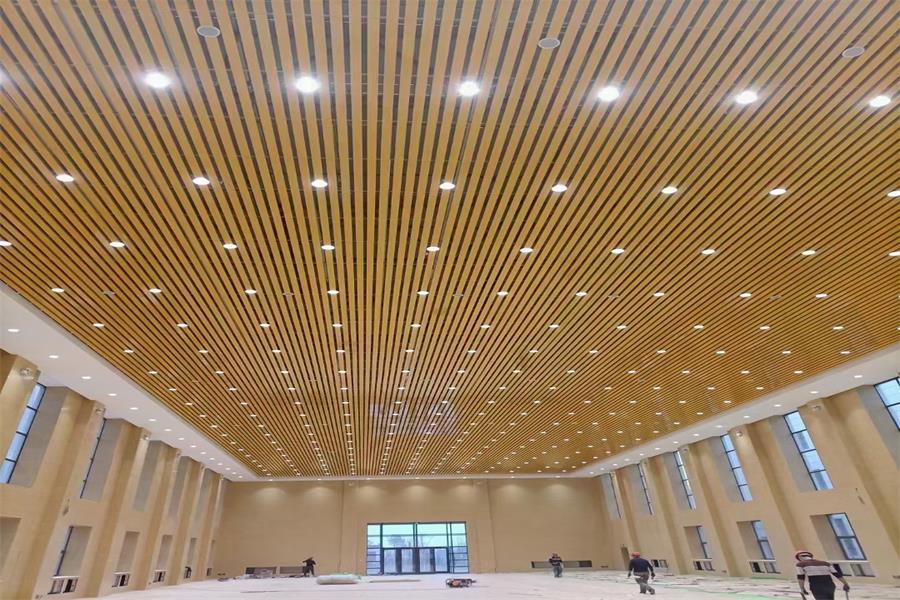 Indoor Ceiling