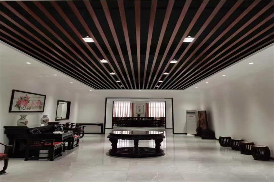 Indoor Ceiling
