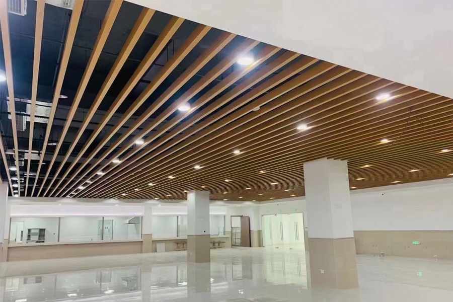 Indoor Ceiling