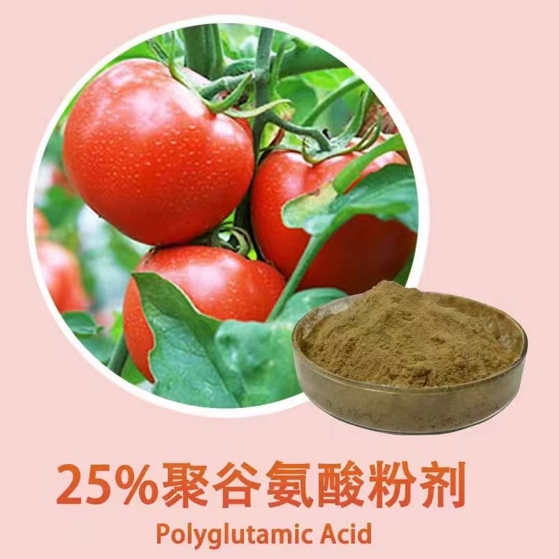25% polyglutamic acid powder