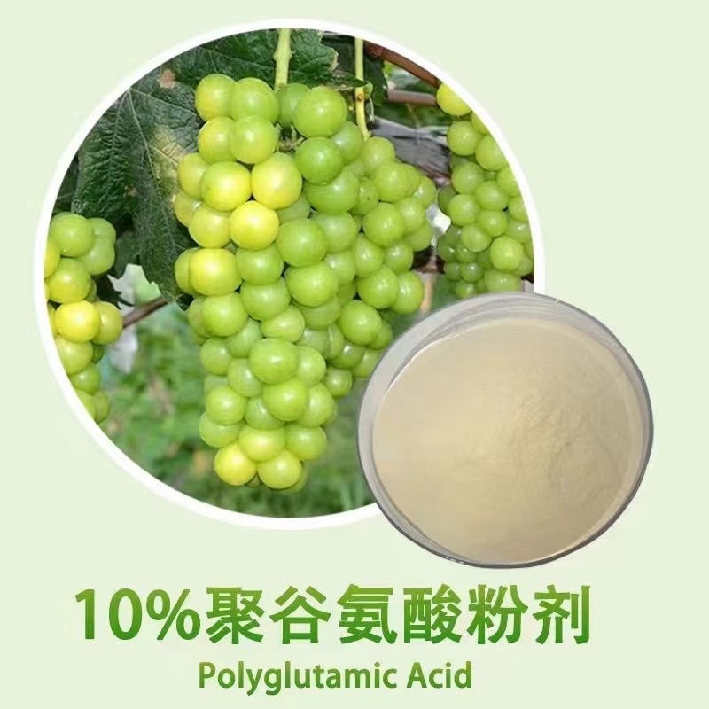 10% polyglutamic acid powder