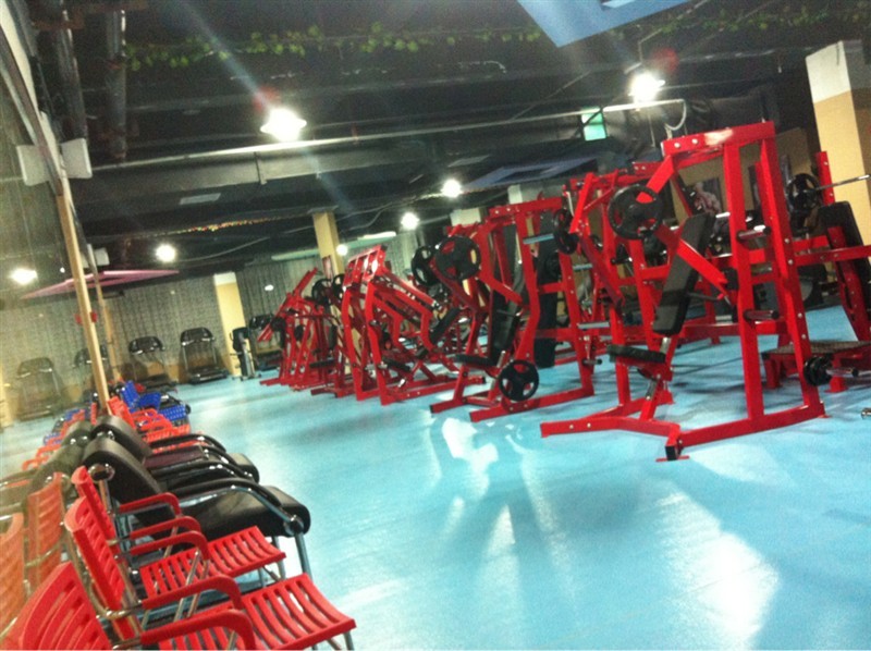 Gyms that have worked overseas
