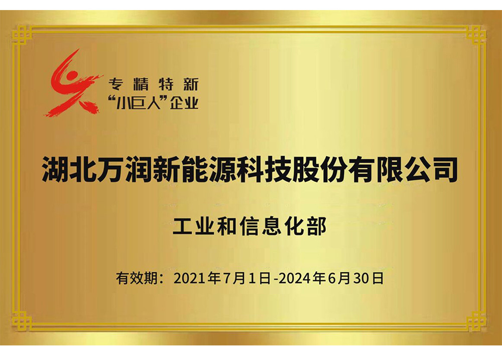 Specialized and innovative 'small giant' enterprises