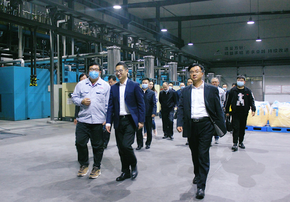 Ning Yong, Vice Governor of Hubei Province, visited the company for inspection and investigation