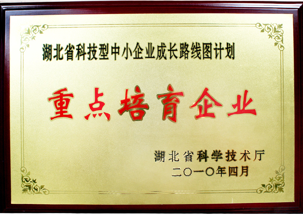 科技型中小企业成长路线图-重点培育企业 科技型中小企业成长路线图-重点培育企业