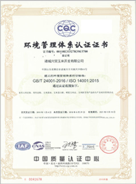 System Certificate