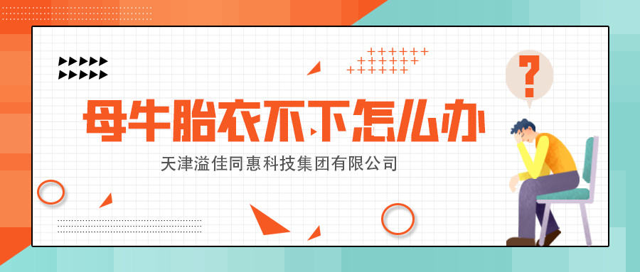 母牛胎衣不下怎么辦