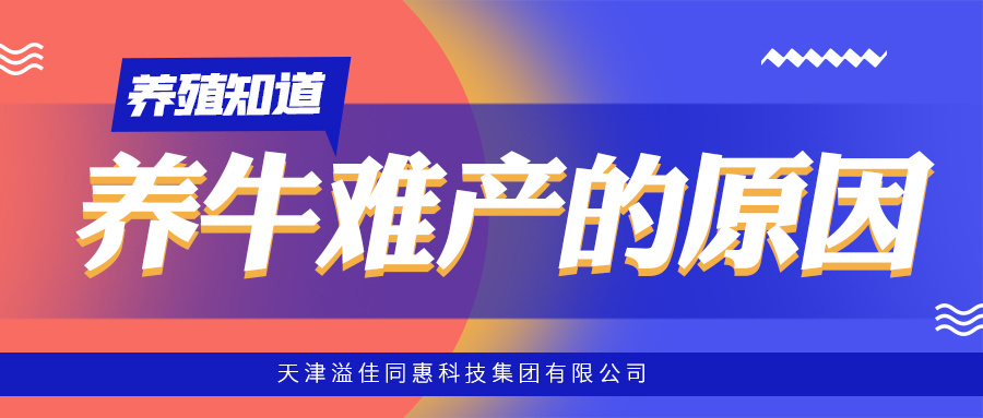 母牛難產的原因