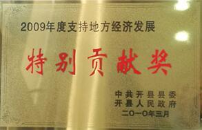 2009年度支持地方经济发展——特别贡献奖