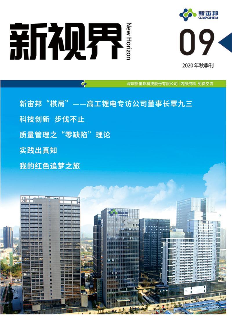 《新视界》第9期 2020年秋季刊