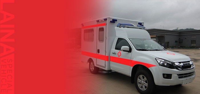  Laina Special Vehicle