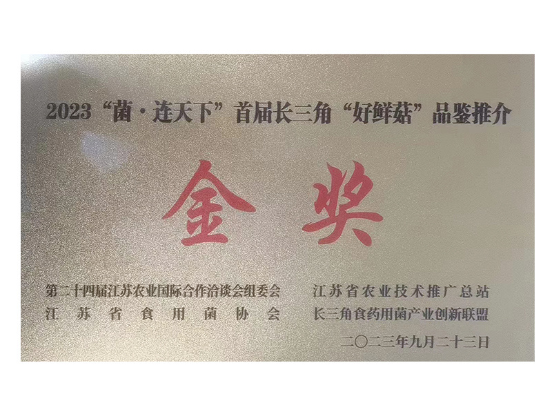 榮譽證書2 榮譽證書2