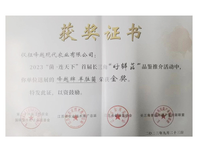 榮譽證書 榮譽證書