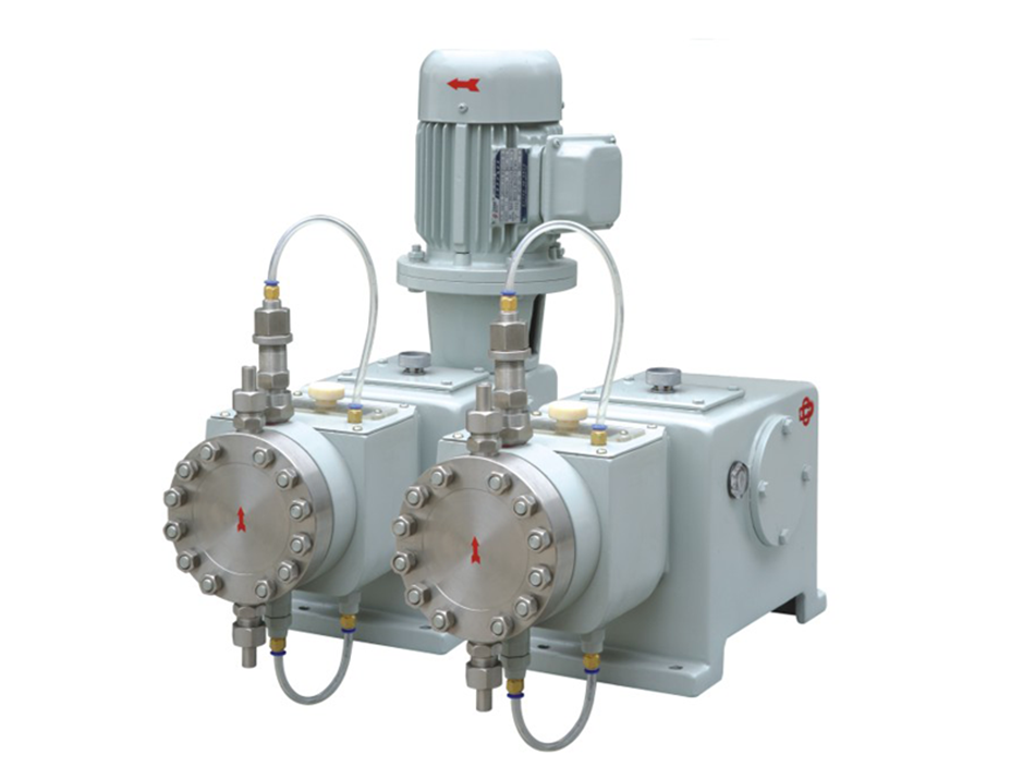 2J(M)-X2L series metering pump