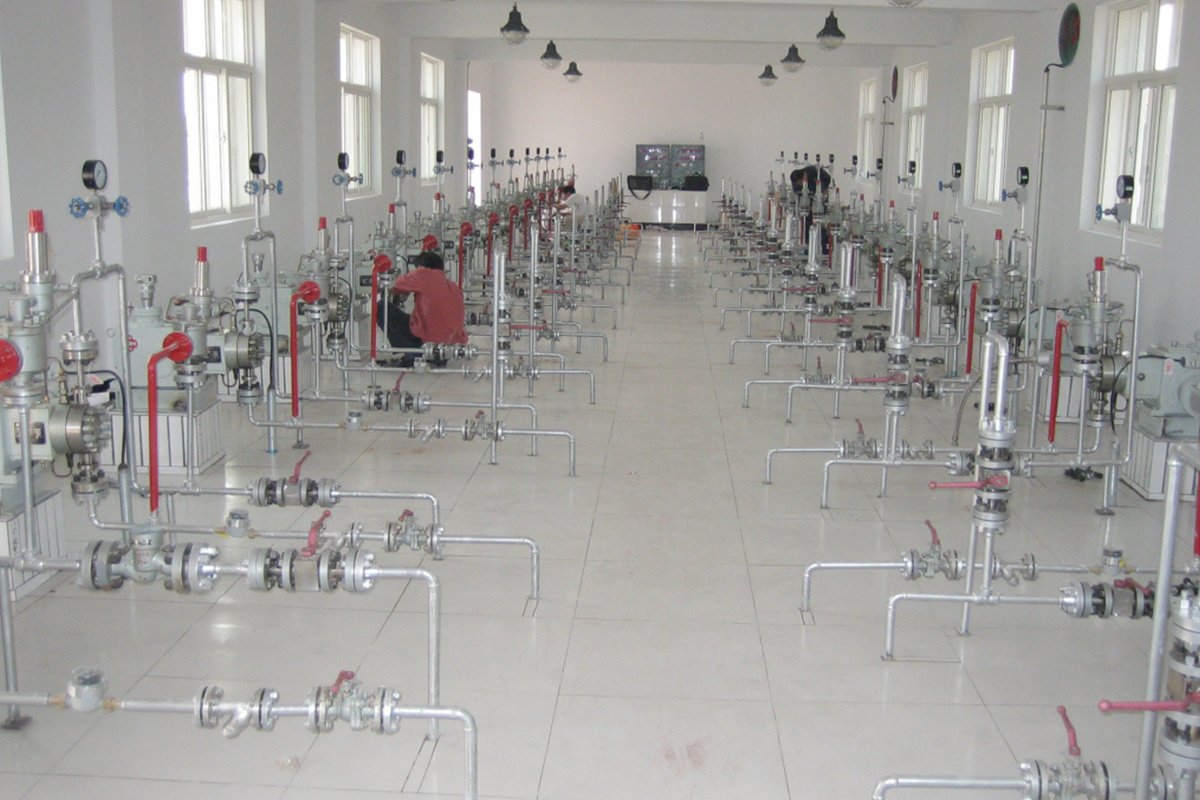 Sinopec North China Branch Daniudi Gas Field Use Site and User Evaluation