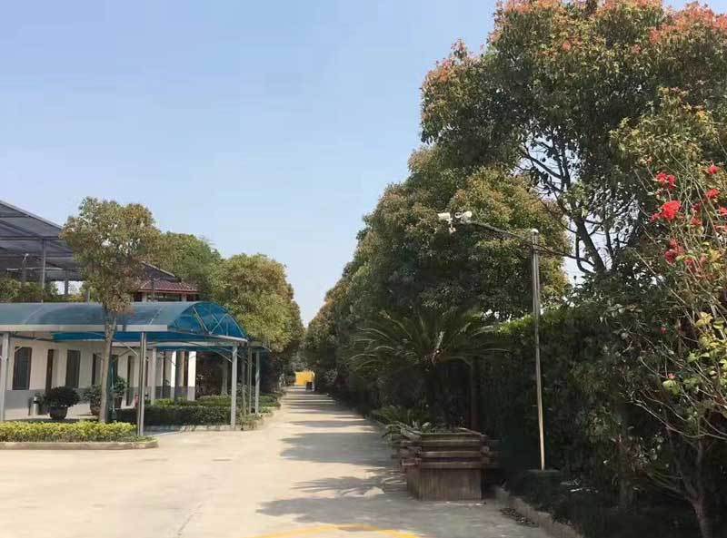 企业风采