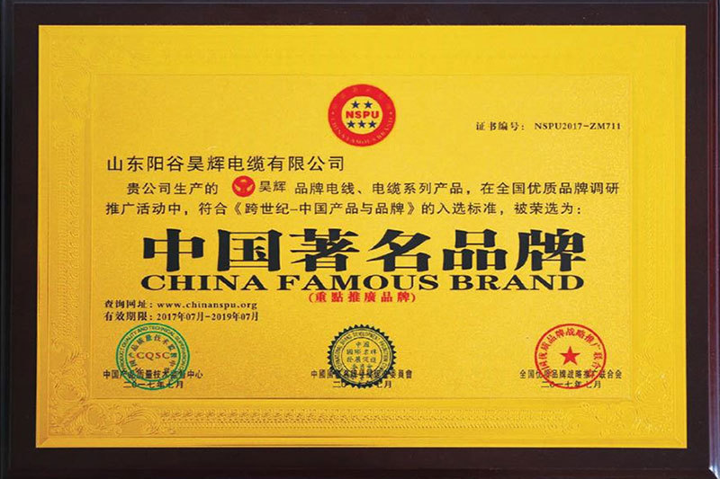 Chinese famous brand