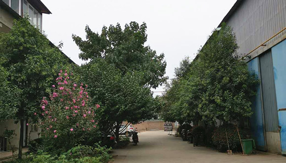 鋼筋加工配件行業(yè)迎來(lái)新變革，技術(shù)創(chuàng)新引領(lǐng)產(chǎn)業(yè)發(fā)展