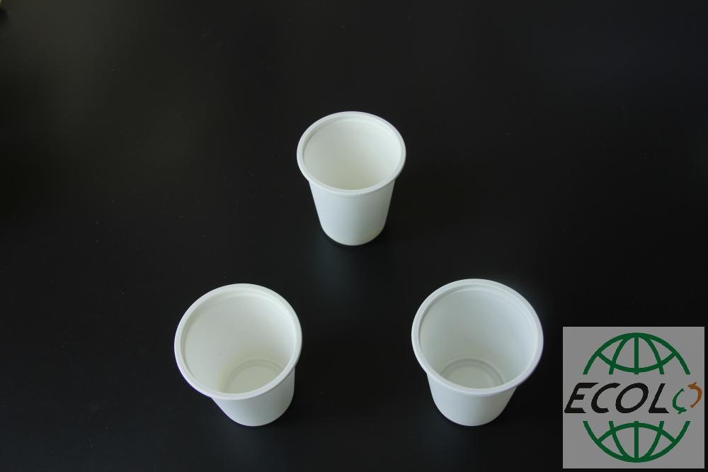 6盎司光面杯