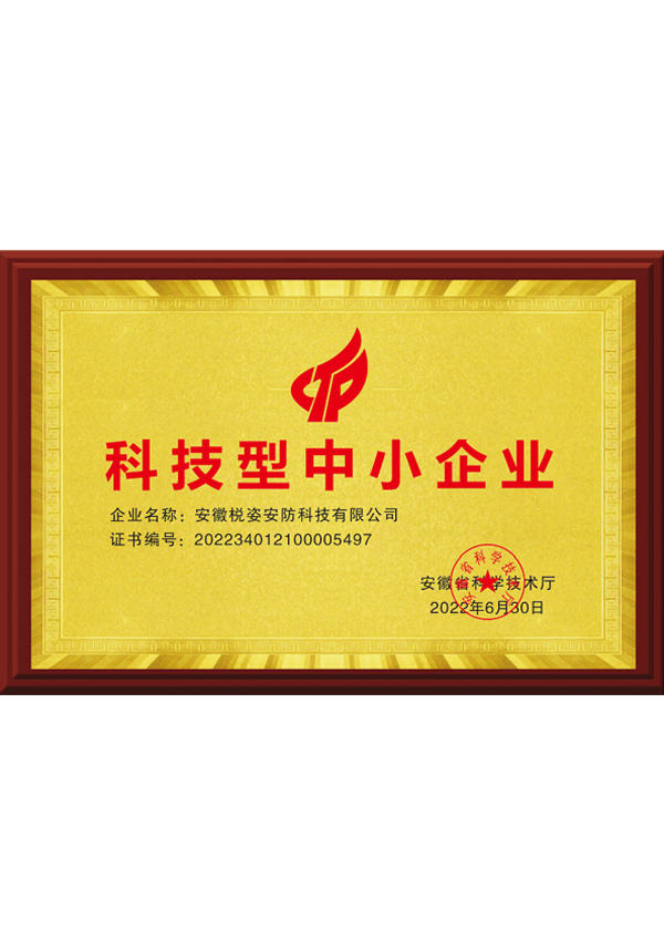 科技型中小企业