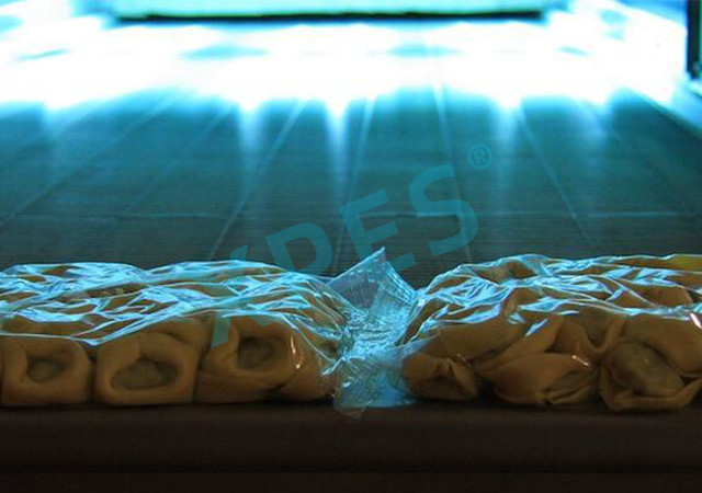 uv light food industry