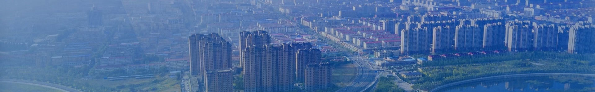 业务板块